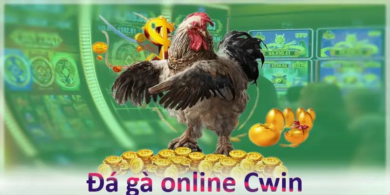 Giới thiệu về sân chơi chọi kê CWIN đẳng cấp