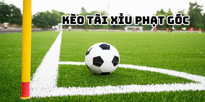 Kèo Tài Xỉu tổng phạt góc 